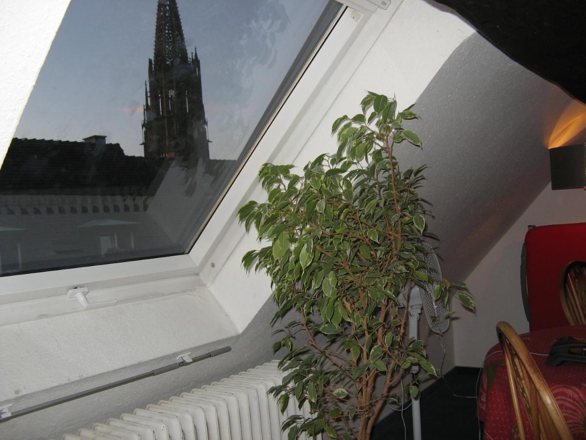 Gasthaus Loewen Freiburg im Breisgau Exteriör bild
